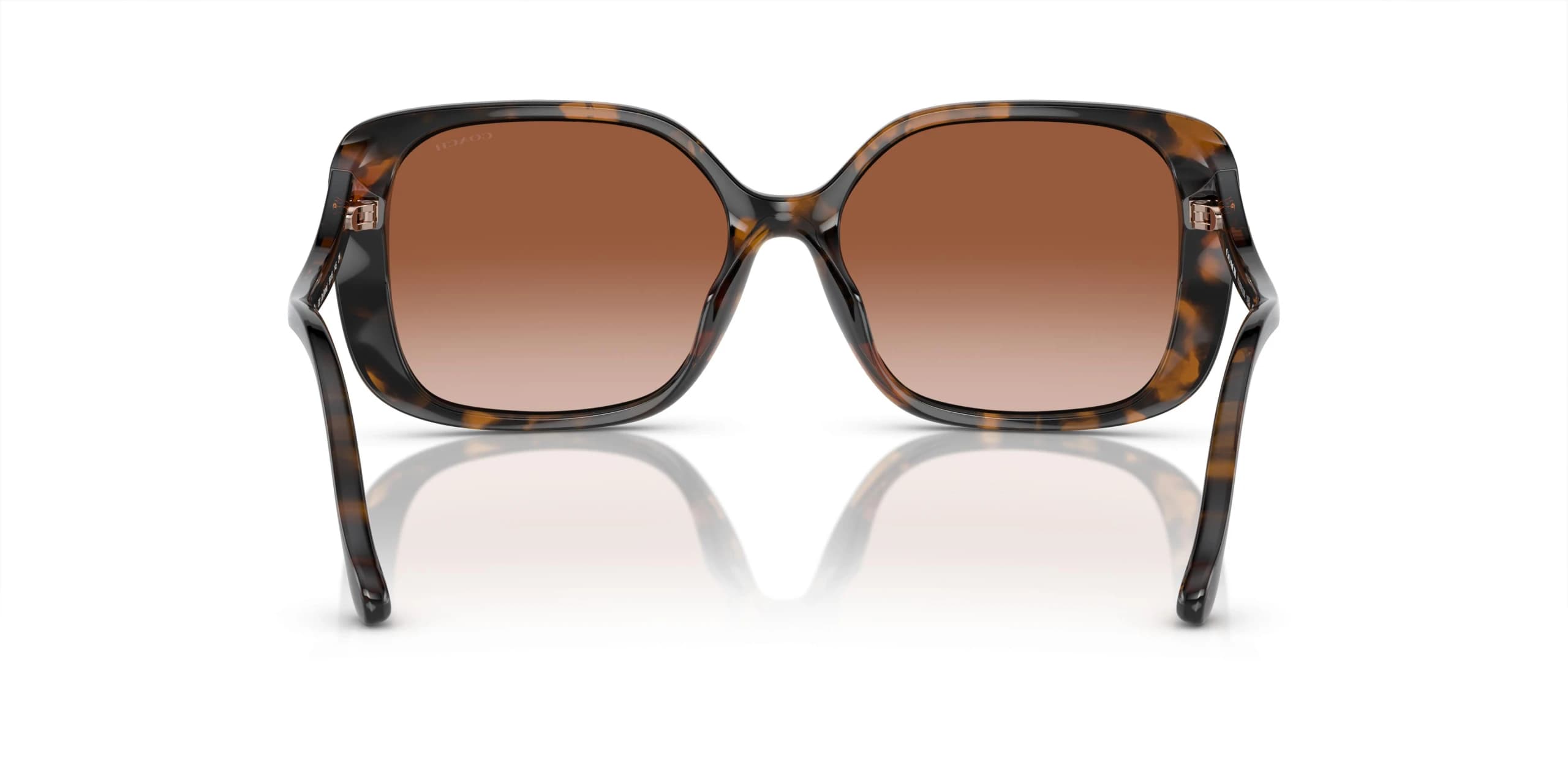 عینک آفتابی کوچ Coach HC8376U - تصویر 4