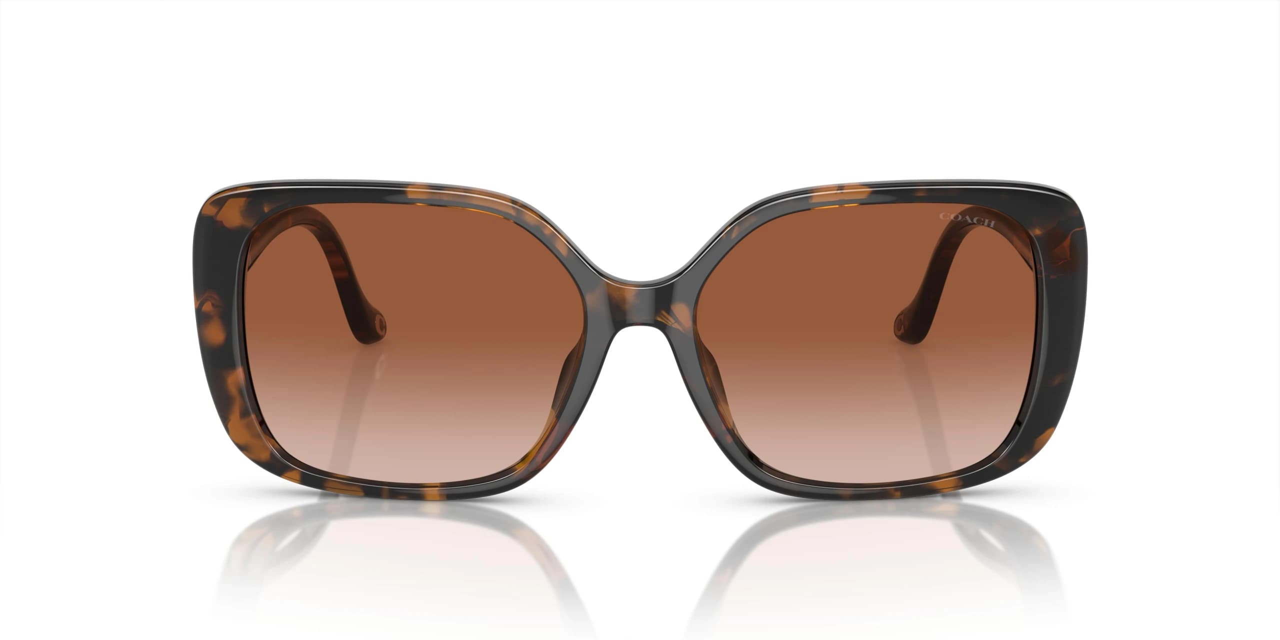 عینک آفتابی کوچ Coach HC8376U - تصویر 1